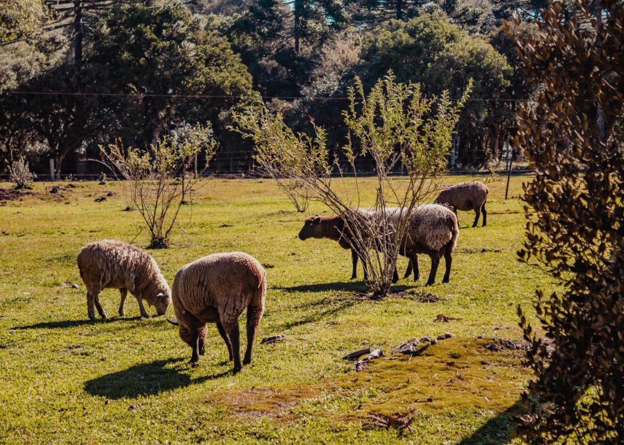 Pousada Lago Da Colina ウルビシ エクステリア 写真